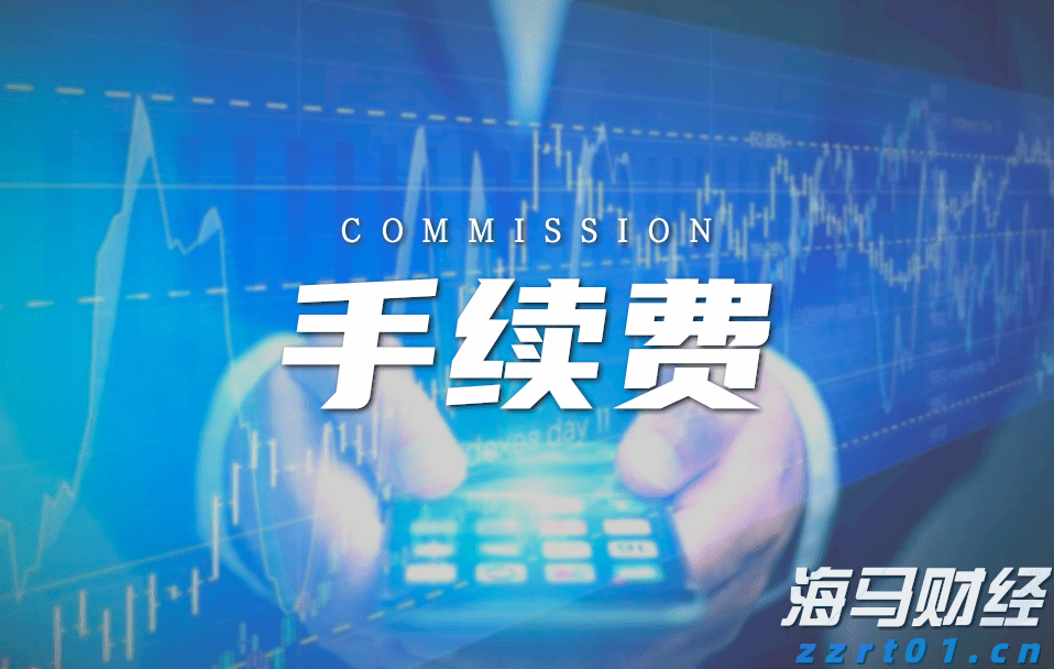 伽师新梅：内心柔软的INTJ